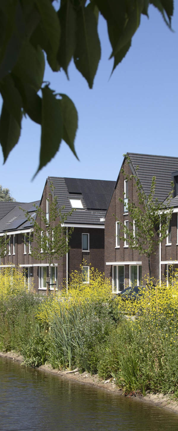 hage midden (22).jpg
