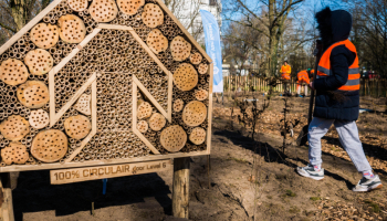 Insectenhotel