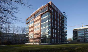 de kers (04).jpg