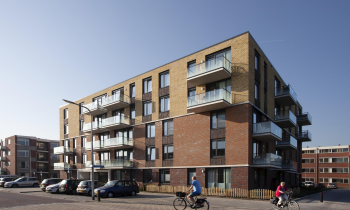 nieuw rijngaarde (08).jpg