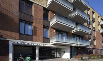 nieuw rijngaarde (10).jpg