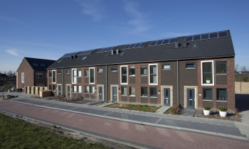 zomerdijk fase 1 (04).jpg