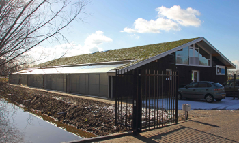 Harmelen Dierenasiel_009.jpg