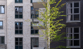 ©egbertdeboer.com HR20220418-0600.jpg