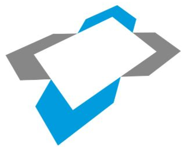 logo bullet.JPG