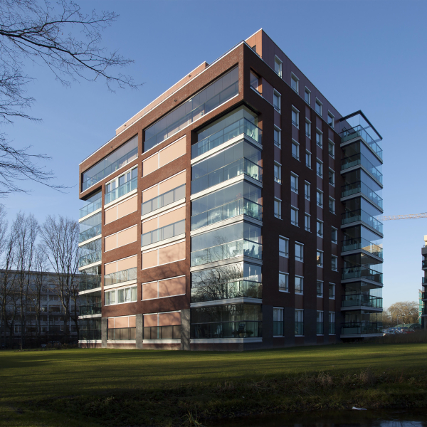 de kers (04).jpg