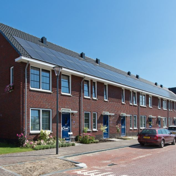 A3177 verkleind.JPG