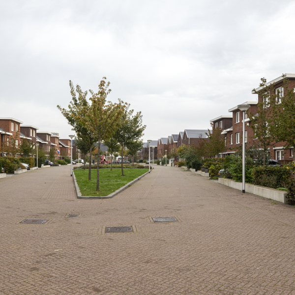5N5A9026.jpg